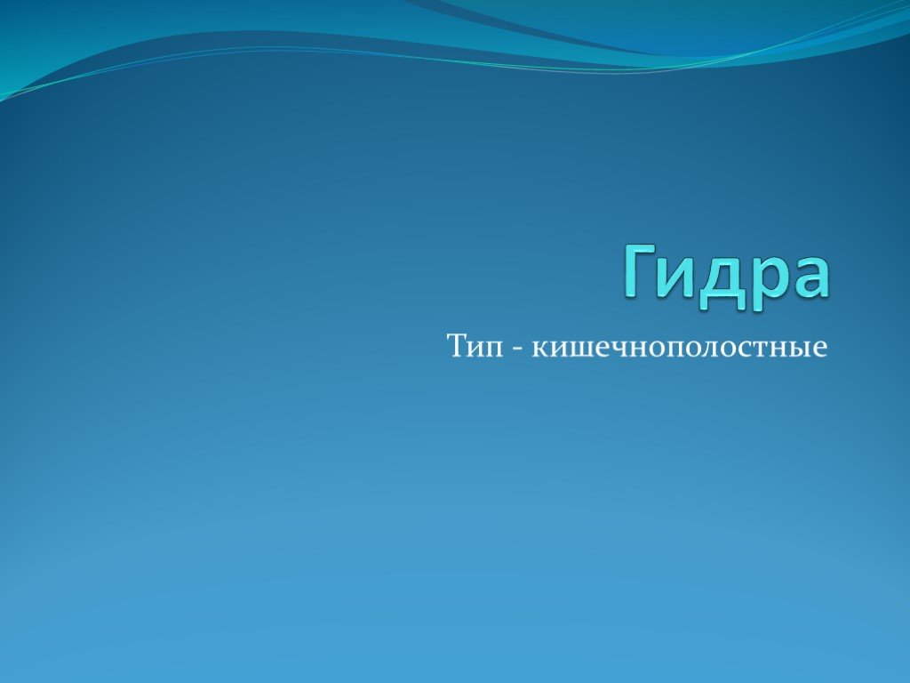 Kraken russia