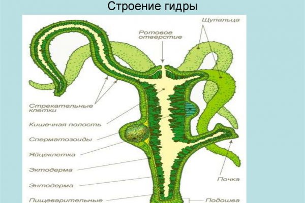 Кракен маркетплейс в россии