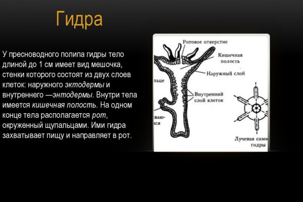 Кракен зеркало орион