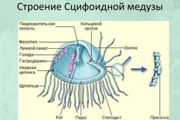 Ссылки мега кракен